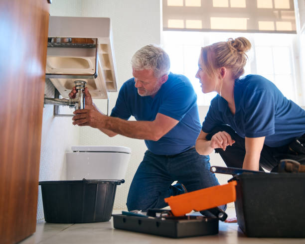 Best Plumbing Inspection Services  in Shakopee, MN